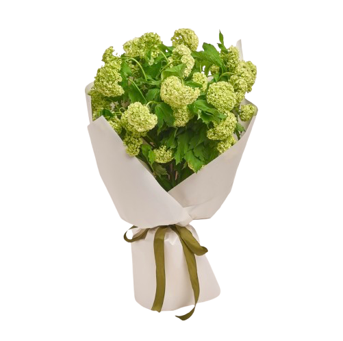 Viburnum or Mini Green Hydrangea with Greenery